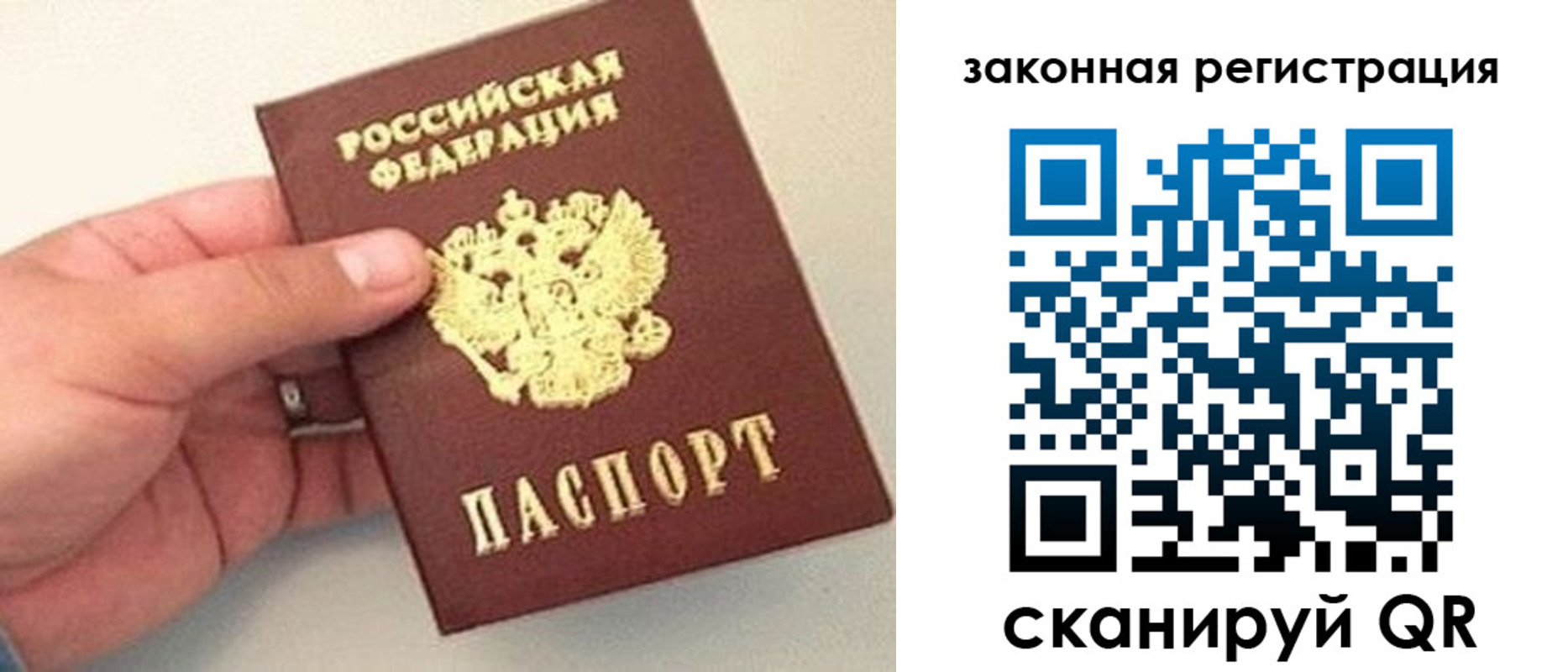 прописка для школы в Лыткарино