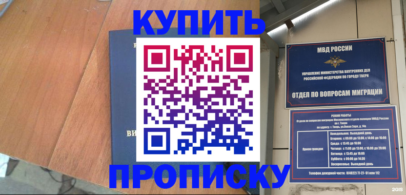 прописка 2025 в Лыткарино